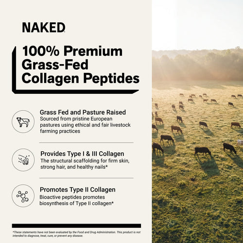 Chocolate Collagen Peptides Powder - Chocolate Collagen Peptides