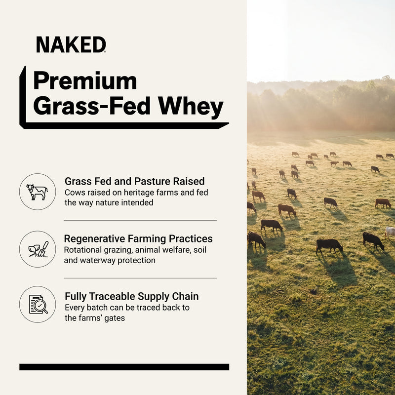 Chocolate Peanut Butter Whey Protein Powder 2LB - Chocolate PB
