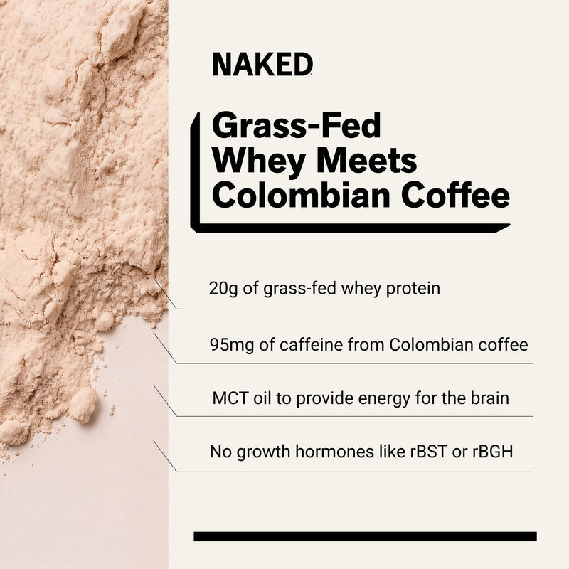 Hazelnut Latte Protein Iced Coffee - Hazelnut Latte