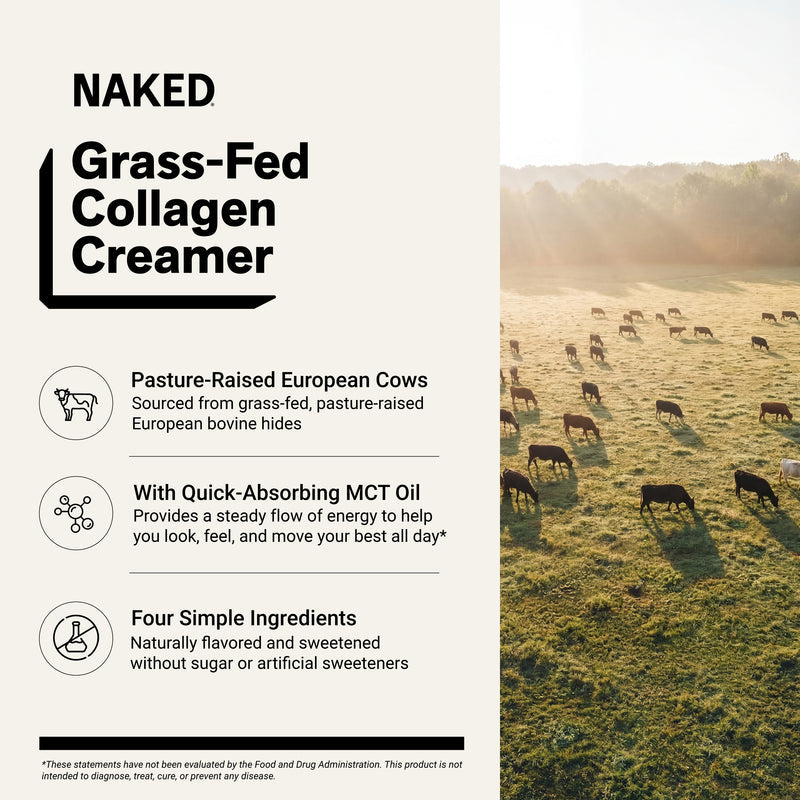Vanilla Collagen Creamer - Vanilla Collagen Creamer